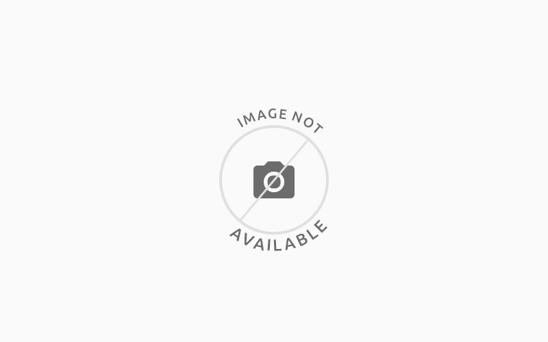 شقة غرفتين نوم بالداون تاون مونتريال